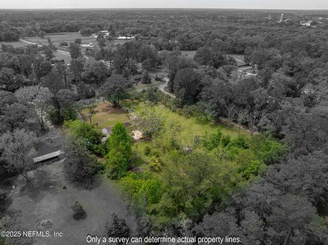 45121 Stratton Rd, Callahan, FL 32011 - birds eye view of property featuring a forest view