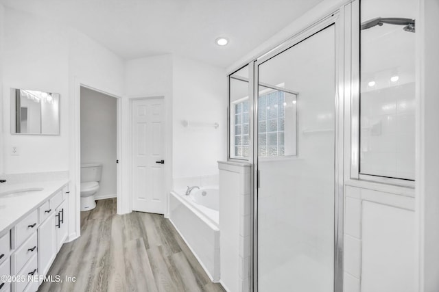 1829 Creekview Dr, Green Cove Springs, FL 32043 - full bath with toilet, wood finished floors, a shower stall, a garden tub, and vanity