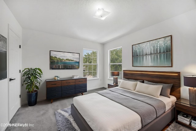 1829 Creekview Dr, Green Cove Springs, FL 32043 - carpeted bedroom featuring baseboards