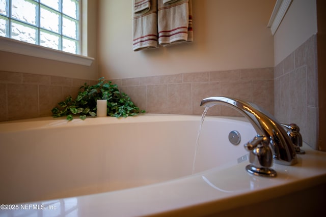 920 Gallier Pl, Jacksonville, FL 32259 - room details with a bathing tub