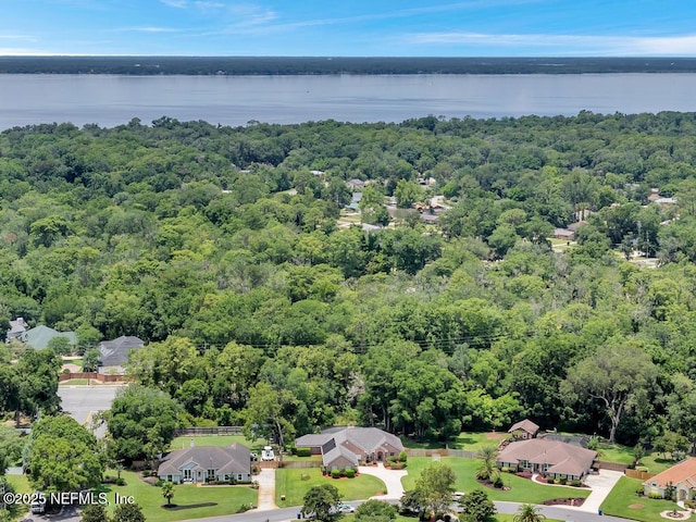 1104 Creekwood Way, Saint Johns, FL 32259 - aerial view of a nearby body of water and a heavily wooded area