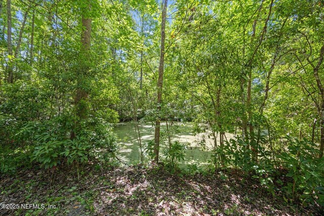798 Worth Rd, Saint Johns, FL 32259 - photo 8