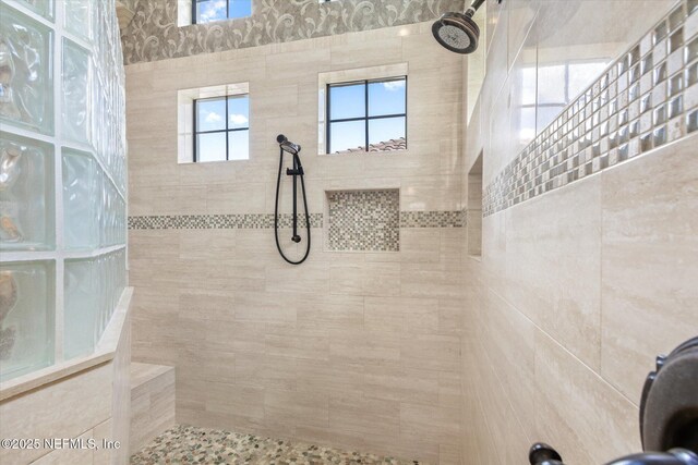 106 Villa Sovana Ct, Saint Johns, FL 32259 - full bath with a walk in shower and plenty of natural light