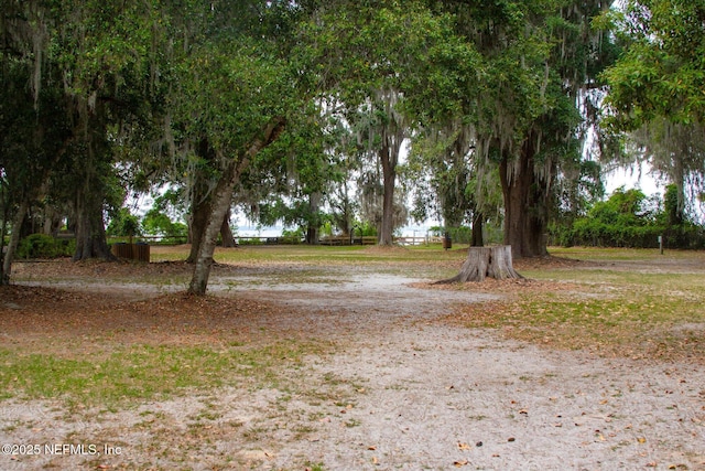 106 Villa Sovana Ct, Saint Johns, FL 32259 - view of yard