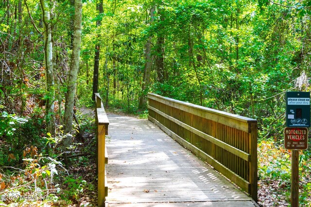 106 Villa Sovana Ct, Saint Johns, FL 32259 - surrounding community with a forest view