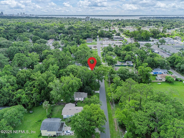 4649 Shelby Ave, Jacksonville, FL 32210 - aerial view of property's location with a large body of water