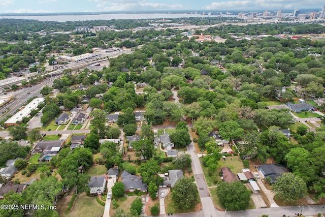 1407 Palmer Ter, Jacksonville, FL 32207 - aerial view of residential area