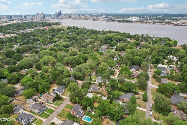 1407 Palmer Ter, Jacksonville, FL 32207 - aerial overview of property's location with a nearby body of water and nearby urban area