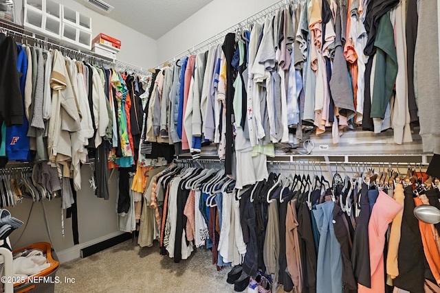 291 Greenway Ln, Saint Augustine, FL 32092 - spacious closet with visible vents and carpet flooring
