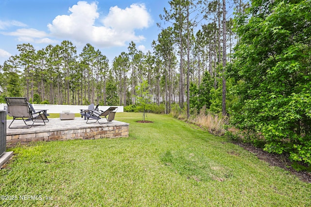291 Greenway Ln, Saint Augustine, FL 32092 - view of yard featuring a patio and an outdoor fire pit
