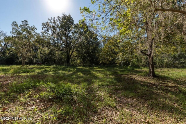 view of nature featuring a wooded view
