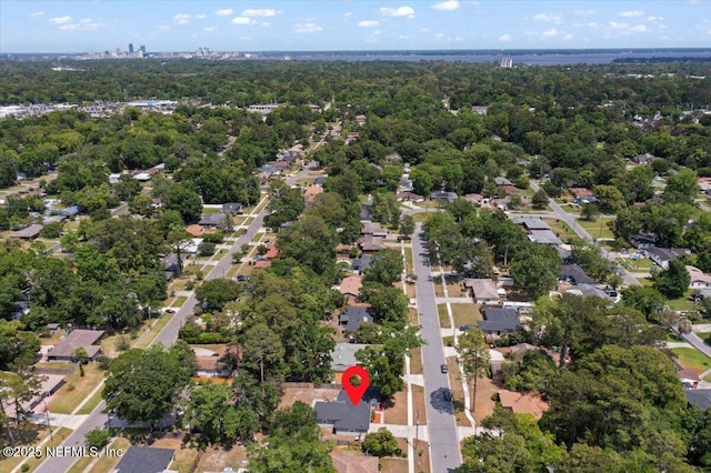 bird's eye view