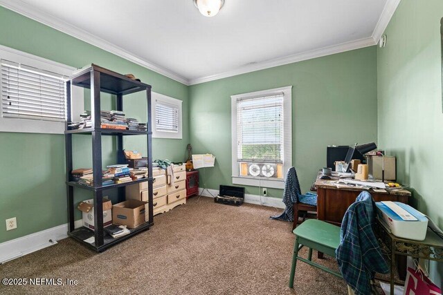 office featuring baseboards, crown molding, and carpet flooring