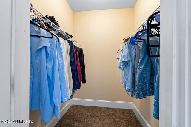 walk in closet with carpet floors