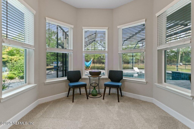 interior space featuring carpet floors, plenty of natural light, and baseboards
