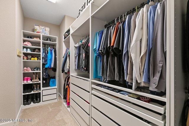 spacious closet featuring light colored carpet