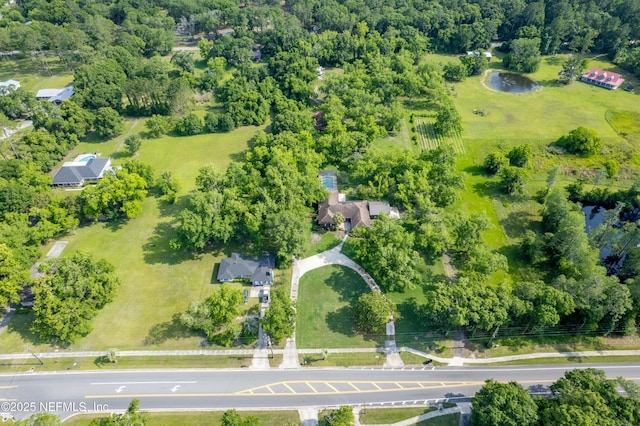 bird's eye view