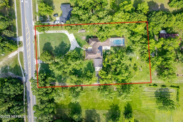 drone / aerial view