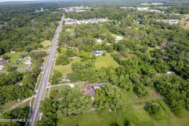 bird's eye view