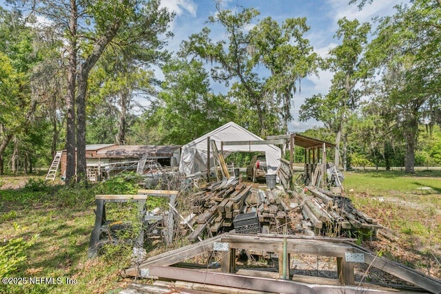 670 Hillsborough Ave, Florahome, FL 32140 - view of community