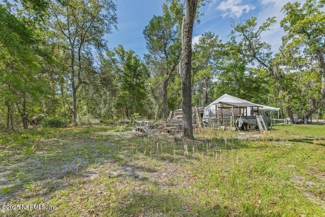670 Hillsborough Ave, Florahome, FL 32140 - view of yard