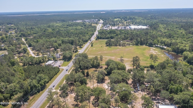 TBD State Road 228, Macclenny, FL 32063