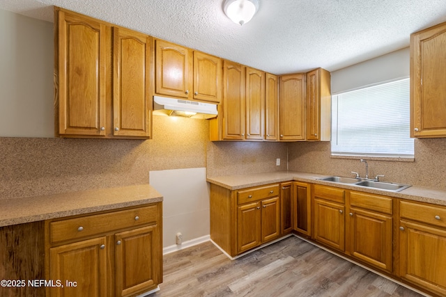 8344 Delaware Ave, Jacksonville, FL 32208 - kitchen featuring brown cabinets, under cabinet range hood, a sink, and light wood finished floors