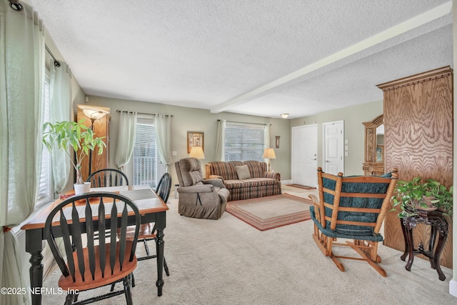 3434 Blanding Blvd Unit 214, Jacksonville, FL 32210 - living area featuring a textured ceiling and carpet flooring