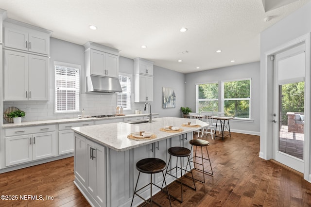 kitchen with under cabinet range hood, dark wood-style flooring, a sink, backsplash, and an island with sink