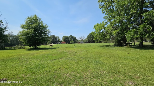 45116 Coquina Way, Callahan, FL 32011 - view of grassy yard