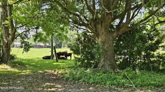 45116 Coquina Way, Callahan, FL 32011 - view of home's community with a yard