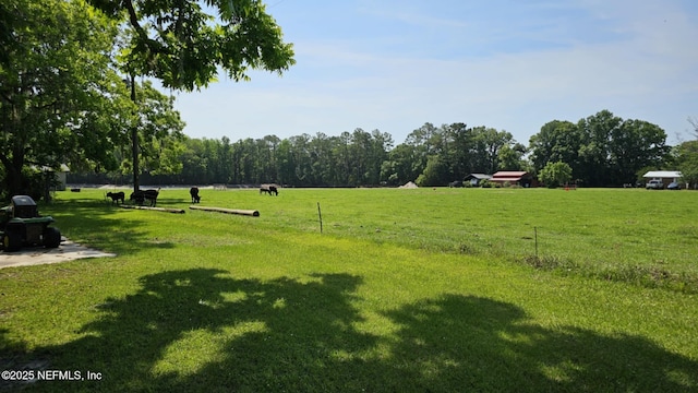 45116 Coquina Way, Callahan, FL 32011 - view of green lawn with a view of rural / pastoral area