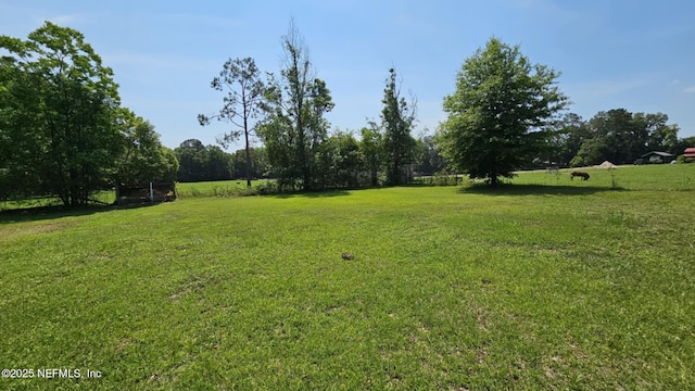 45116 Coquina Way, Callahan, FL 32011 - view of grassy yard