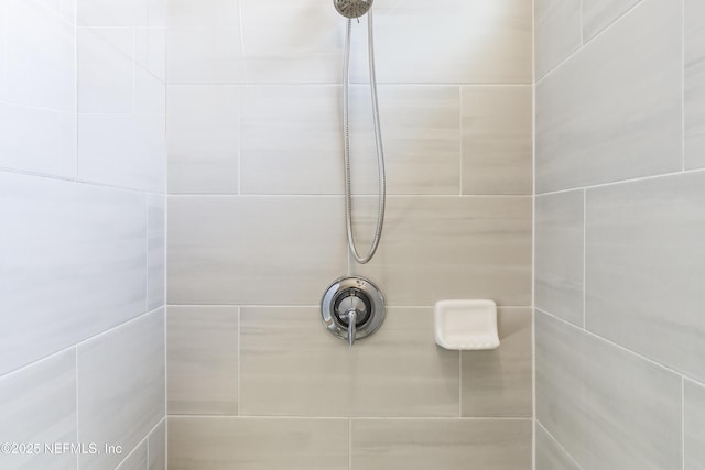 2793 Pointed Leaf Rd, Green Cove Springs, FL 32043 - full bath with tiled shower