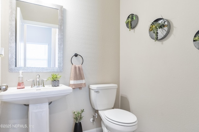 2793 Pointed Leaf Rd, Green Cove Springs, FL 32043 - half bathroom with toilet and a sink