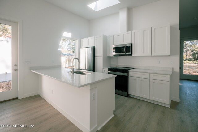 572 Woodlawn Rd, Saint Augustine, FL 32084 - kitchen featuring a skylight, stainless steel appliances, light wood-style flooring, and a sink