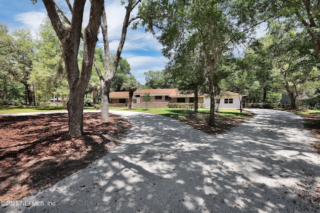 view of front facade with curved driveway