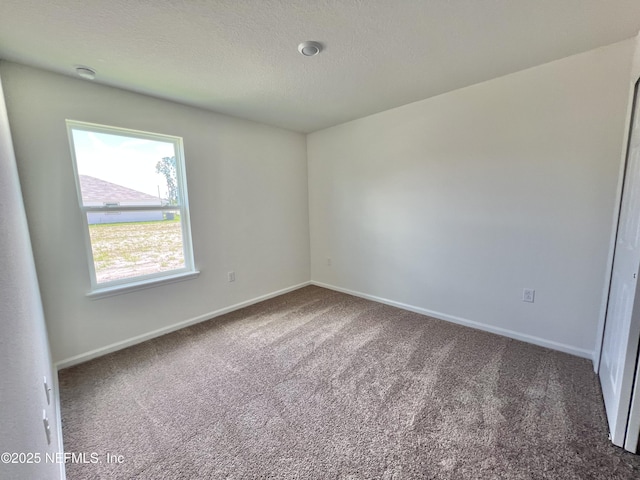 7768 Rippa Valley Way, Jacksonville, FL 32222 - photo 5