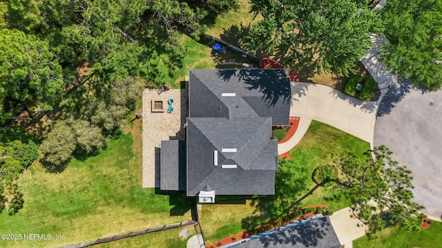 bird's eye view