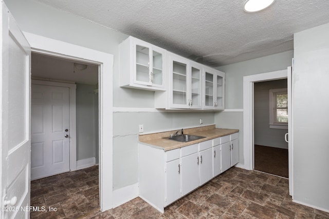 1488 W 5th St, Jacksonville, FL 32209 - kitchen featuring white cabinets, stone finish floor, glass insert cabinets, and a sink