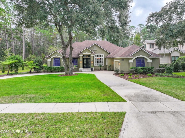 view of front of property featuring a front lawn, curved driveway, and stucco siding
