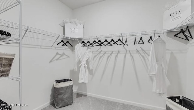 335 Dogleg Run, Saint Johns, FL 32259 - view of walk in closet