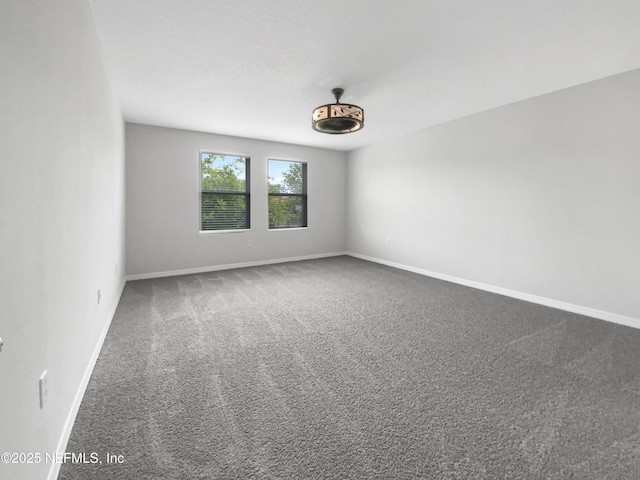 50 Lipizzan Trl, Saint Augustine, FL 32095 - photo 5