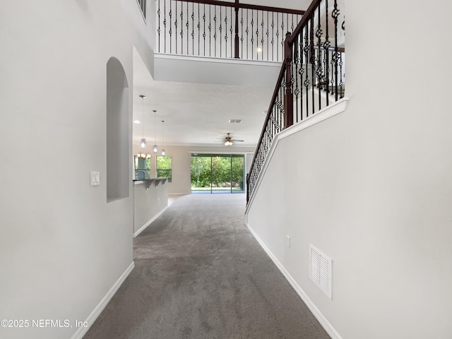 50 Lipizzan Trl, Saint Augustine, FL 32095 - photo 11