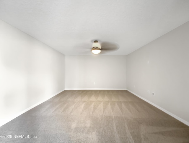 50 Lipizzan Trl, Saint Augustine, FL 32095 - photo 23