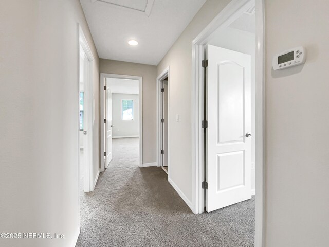 50 Lipizzan Trl, Saint Augustine, FL 32095 - photo 25