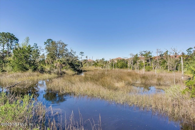 797 Providence Island Ct, Jacksonville, FL 32225 - photo 43