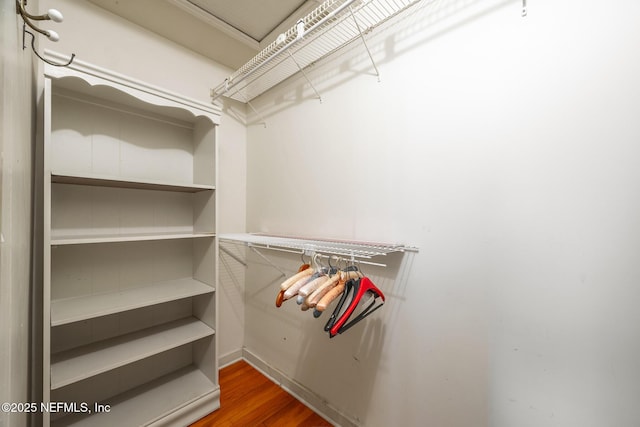 walk in closet with wood finished floors