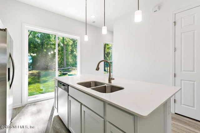 kitchen featuring stainless steel appliances, a wealth of natural light, a sink, and light wood-type flooring