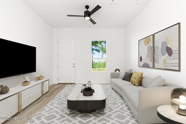 living area featuring ceiling fan and light wood finished floors